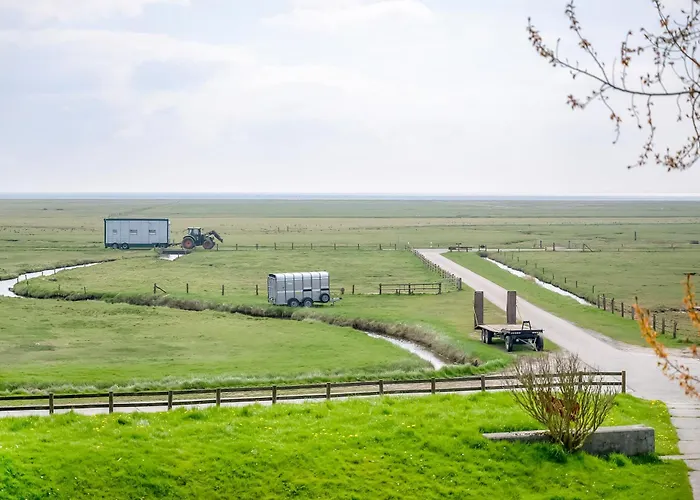 아파트 Hallighof *